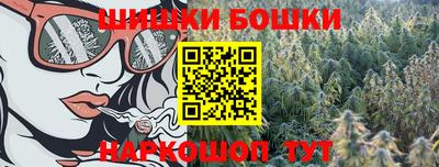 сатива Краснодар