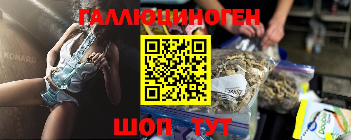 Усть-Илимск  Псилоцибиновые грибы Psilocybe  Вход с VPN 
